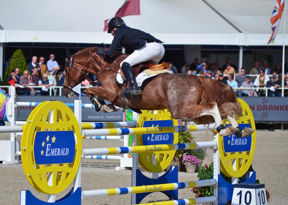 Escape Z - Showjumper